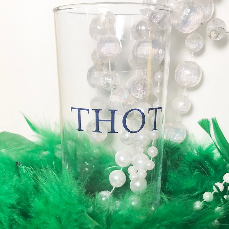 THOT 15oz tall beverage glass inappropriate gift novelty Etsy