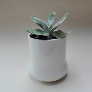 China Plant Pot. Cacti Pot. Succulent Pot. Ceramic Plant Pot. Pen Pot. Utensil Pot. Beaker. White China Pot. Plant Lovers Gift. image 4