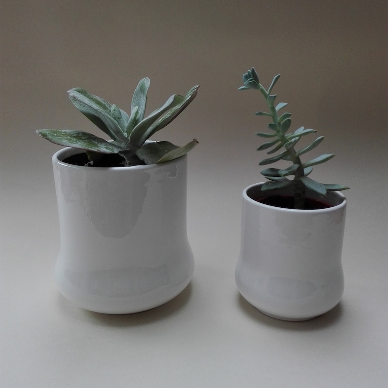 China Plant Pot. Cacti Pot. Succulent Pot. Ceramic Plant Pot. Pen Pot. Utensil Pot. Beaker. White China Pot. Plant Lovers Gift. image 1