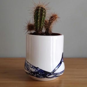 May include: A white ceramic plant pot with a blue abstract design, holding a small cactus. The cactus has green stems and brown spines. The pot is cylindrical and sits on a wooden surface.