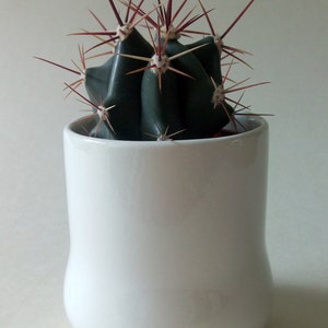 China Plant Pot. Cacti Pot. Succulent Pot. Ceramic Plant Pot. Pen Pot. Utensil Pot. Beaker. White China Pot. Plant Lovers Gift. image 3