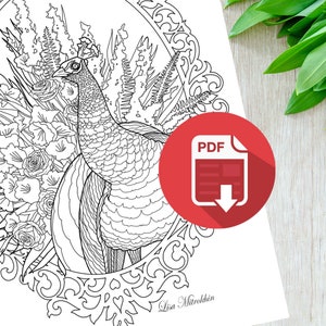 Coloring Page // PEACOCK