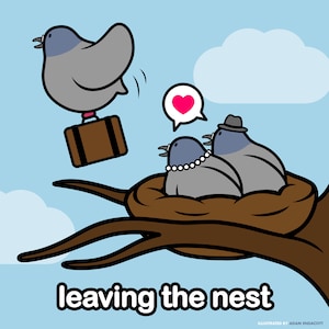 Leaving The Nest - Taube Umzug Neue Heimat Grußkarte