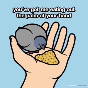 Eating Out The Palm Of Your Hand - Tauben Grußkarten