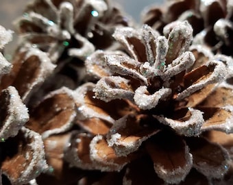 Frosted Pine cones Christmas pine cones white pine cones Frosted Christmas ornament Frosted glitter ornament SET