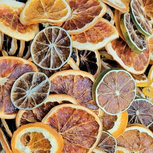 One pound CRAFT GRADE Citrus slices assortment dried fruit Slices, orange lemon blood orange lime and dried grapefruit diy citrus potpourri image 7