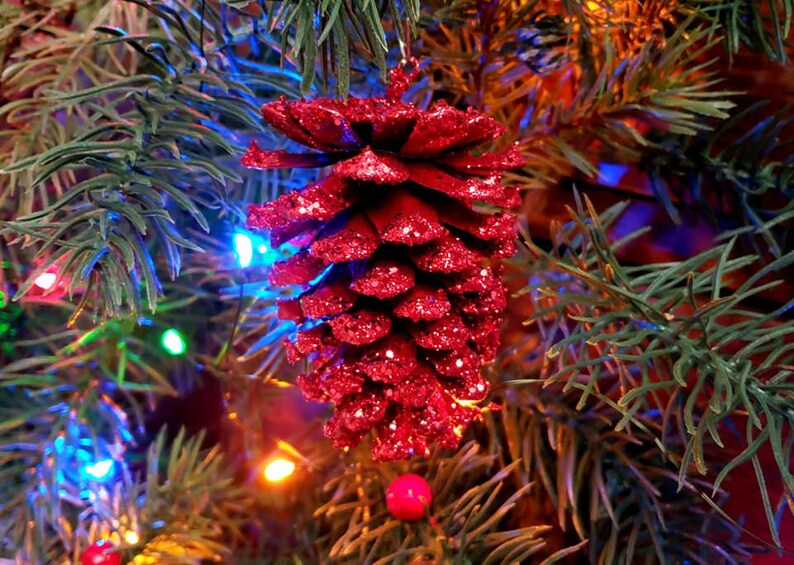 Red Pine cones Christmas pine cones Red glitter pine cone Etsy