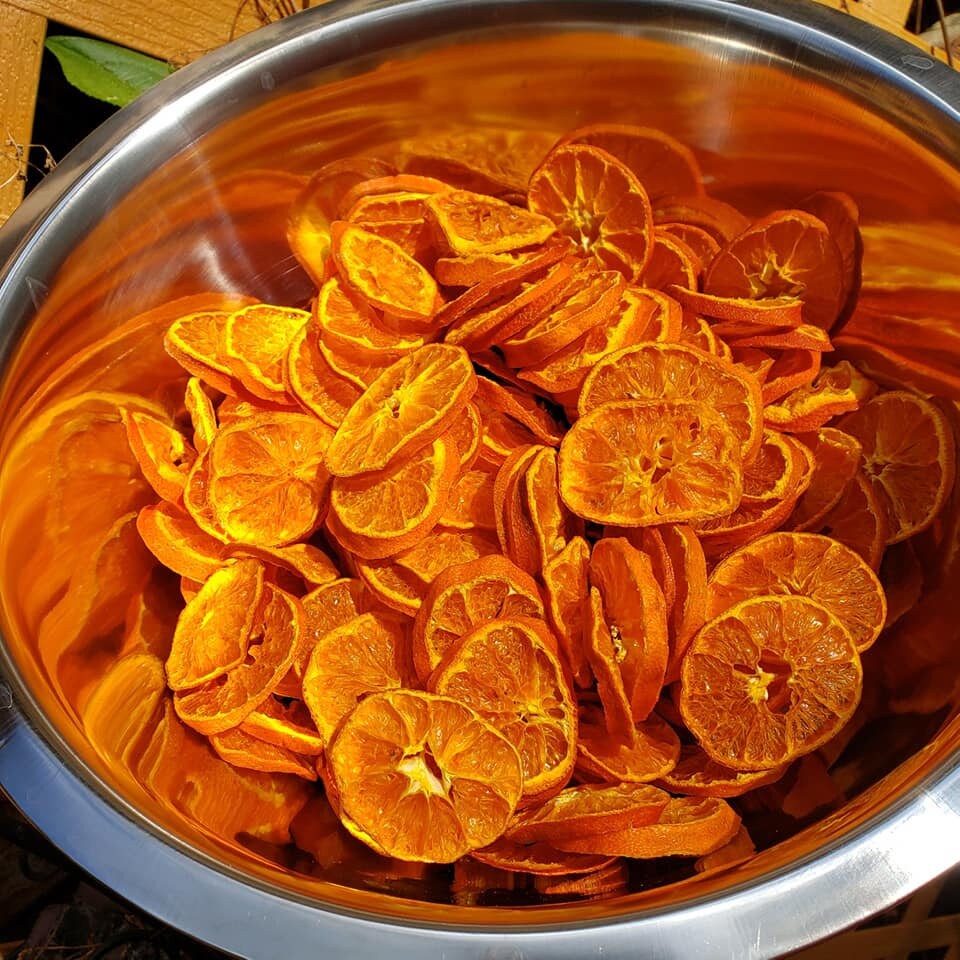 Dehydrated Tangerine Orange 100 Sample Packs Vacuum Packed Etsy