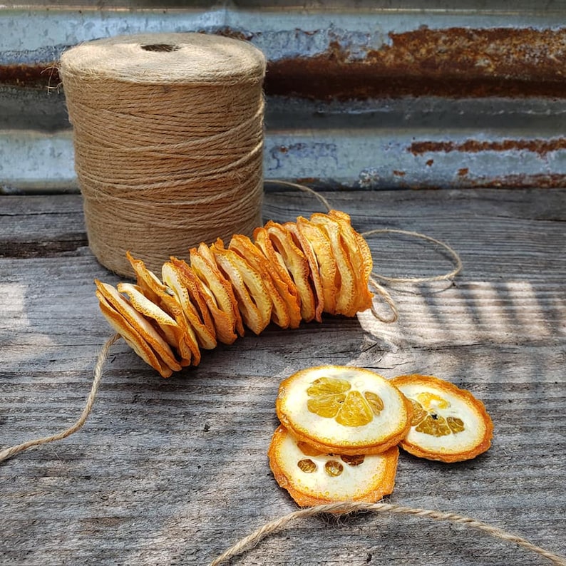 Dried Fruit Garland Pieces DIY Garland Pieces Dried Orange Etsy
