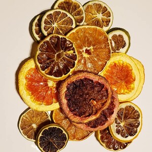 One pound CRAFT GRADE Citrus slices assortment dried fruit Slices, orange lemon blood orange lime and dried grapefruit diy citrus potpourri image 3