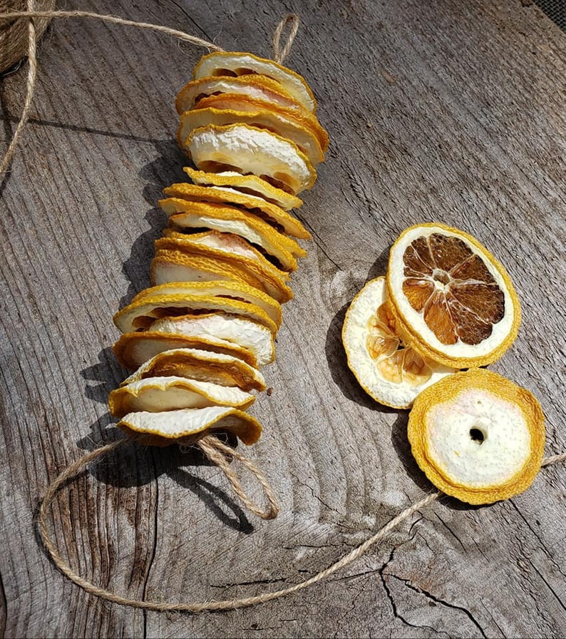 Dried Fruit Garland Pieces DIY Garland Pieces DIY Fireplace Etsy