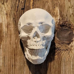 DIY paintable skull wall hanging, skull wall statue, flush mount skull statue, outdoor or indoor goth wall statue skull wall mount
