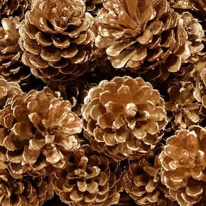 Gold Pine Cones, Christmas pine cones, gold wedding table decor 1 DOZEN rustic holiday decor Holiday DIY, winter wedding DIY 2