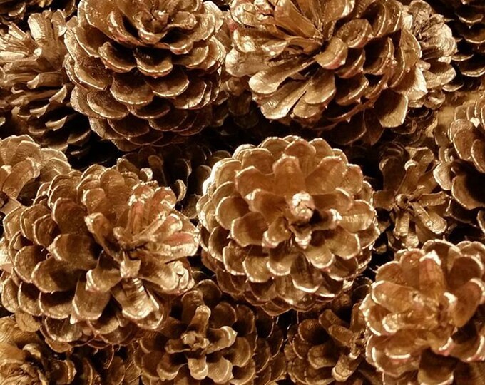Gold Pine Cones Christmas Pine Cones Winter Wedding Table Etsy