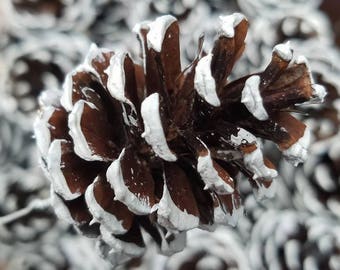 Christmas Pine cone, Snow tipped Pine Cone, Frosted Pine Cones, Pine cone Ornament winter Wedding DIY Rustic Winter Wedding Pack of 16