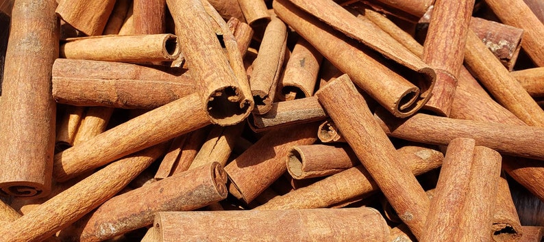 1 pound Dried cinnamon sticks, Hot Toddy garnish, bulk cinnamon sticks, diy cottagecore, crafting cinnamon sticks image 4