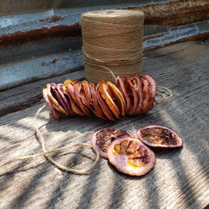 Puede incluir: Una cuerda de rodajas de naranja secas, atadas con un cordel, con un carrete de cordel en el fondo. Las rodajas de naranja son de color naranja intenso y tienen una apariencia ligeramente translúcida.
