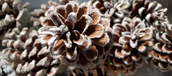 Frosted Pine Cones Christmas Pine Cones White Pine Cones Frosted Christmas  Ornament Frosted Glitter Ornament SET 