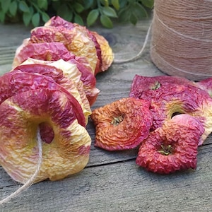 May include: A string of dried apple slices, with a reddish-brown color, are strung together with twine. The apple slices are arranged in a circle shape, with the twine running through the center of each slice. The apple slices are on a wooden surface, and there are a few more apple slices scattered around the string.