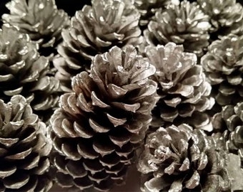 3 - 3.5 inch tall Christmas Pine cones, Silver Pine Cones winter wedding table topper rustic holiday decor holiday DIY winter wedding DIY