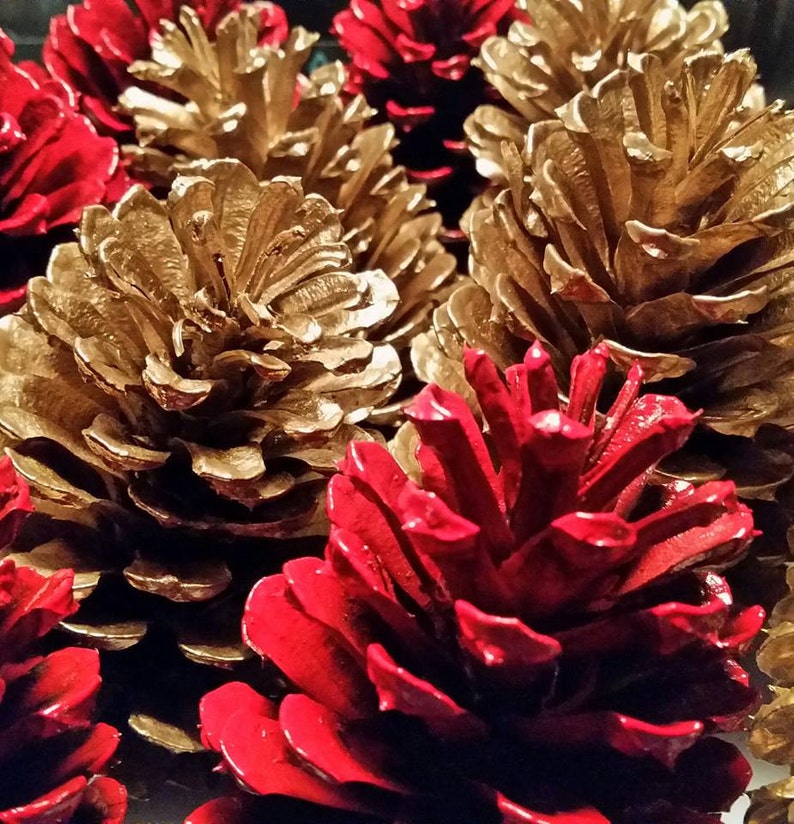 Christmas Pine Cones Red Pine Cones Gold Pine Cones Holiday Etsy
