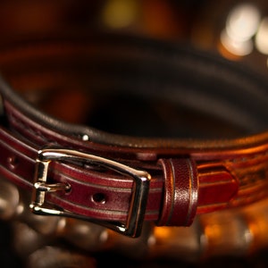 May include: A close-up of a dark brown leather dog collar with a silver buckle. The collar has a decorative stitching pattern.