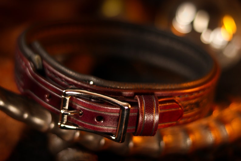 May include: A close-up of a dark brown leather dog collar with a silver buckle. The collar has a decorative stitching pattern.