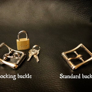 May include: Two metal buckles, one with a locking mechanism and a small brass padlock with a key. The locking buckle is labelled "Locking buckle" and the standard buckle is labelled "Standard buckle".