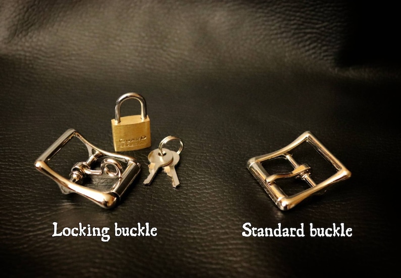 May include: Two metal buckles, one with a locking mechanism and a small brass padlock with a key. The locking buckle is labelled "Locking buckle" and the standard buckle is labelled "Standard buckle".