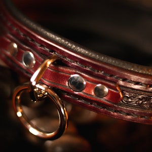 May include: A close-up of a dark red leather collar with decorative stitching and silver rivets. The collar has a gold-toned metal ring attached.
