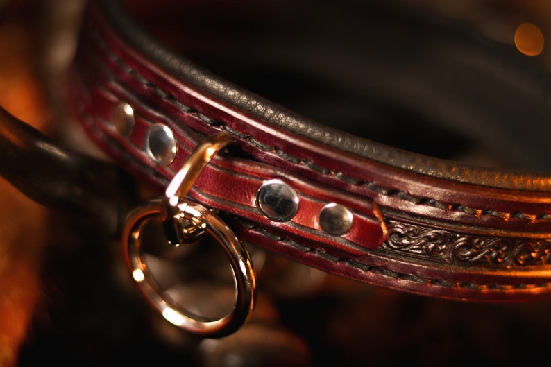 May include: A close-up of a dark red leather collar with decorative stitching and silver rivets. The collar has a gold-toned metal ring attached.