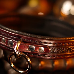 May include: A brown leather collar with a decorative design and silver accents. The collar has a gold metal ring attached.