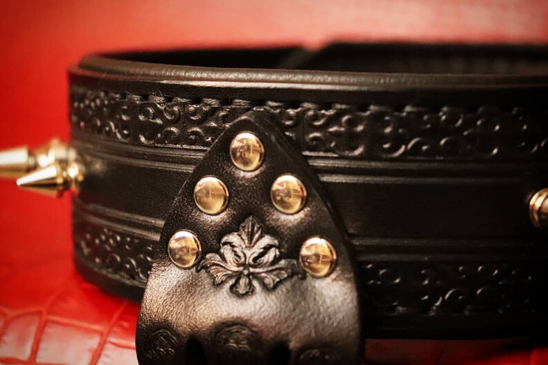 May include: Black leather collar with gold studs and a decorative floral design. The collar has a pointed spike on one side.