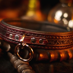 May include: A dark brown leather collar with silver accents and an ornate design. The collar has a silver ring attached to it.
