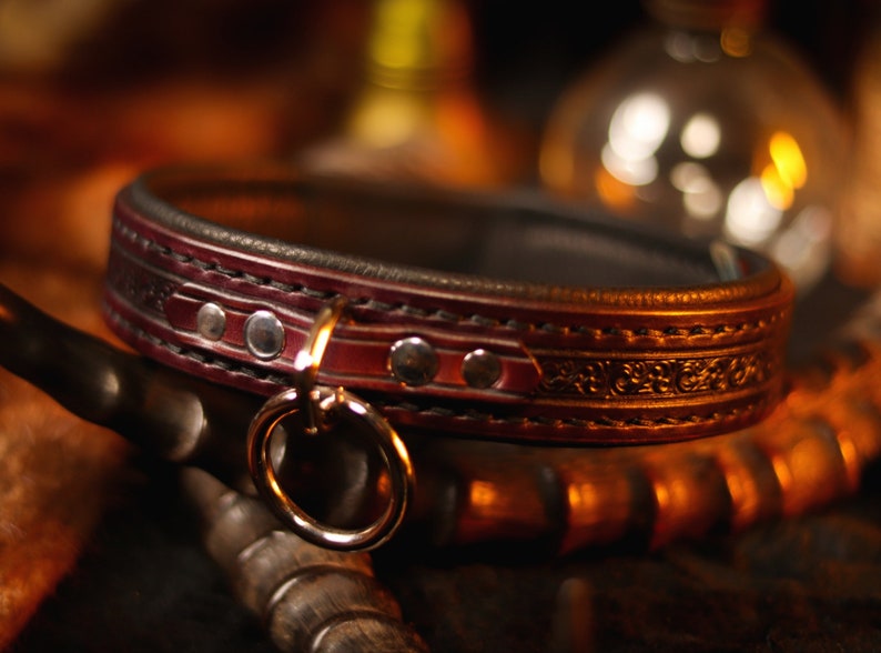 May include: A dark brown leather collar with silver accents and an ornate design. The collar has a silver ring attached to it.