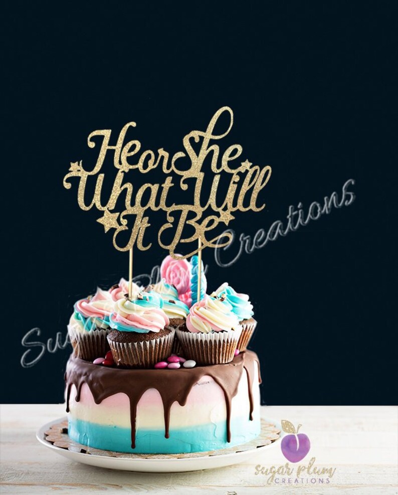 He Or She What Will It Be Cake Topper Baby Sprinkle Cake Etsy He Or She What Will It Be Cake Topper Baby Sprinkle Cake Etsy