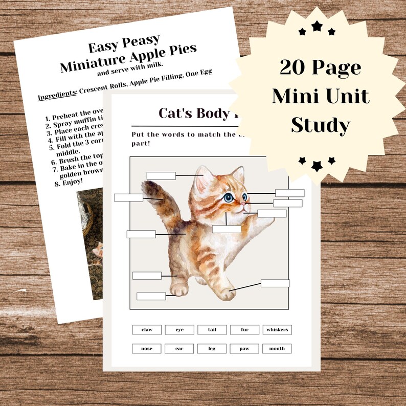 Pu&ograve; includere: Un foglio di lavoro stampabile per i bambini per imparare l'anatomia del gatto. Il foglio di lavoro presenta un gatto dei cartoni animati con etichette per diverse parti del corpo, tra cui la coda, la pelliccia, i baffi, la zampa e la bocca. Le parole "Corpo del gatto" e "Metti le parole in corrispondenza con la parte!" sono stampate nella parte superiore del foglio di lavoro.