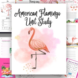 May include: A printable American Flamingo Unit Study with a pink watercolor background and a pink flamingo illustration. The text "American Flamingo Unit Study" is in black cursive font.