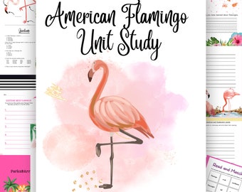 Flamingo Unit Study, Lesson Plans, Vocabulary, Unschooling, Charlotte Mason, Bird Worksheet, Science Research, Homeschooling, Zoology