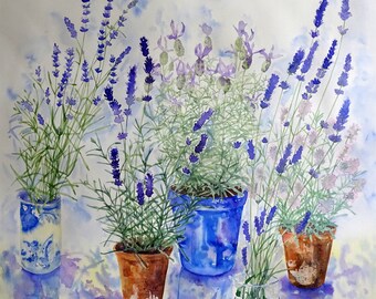 Lavender Collection. Limited edition artist signed giclee print on archival paper.