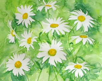 Fresh daisies. Original artwork.