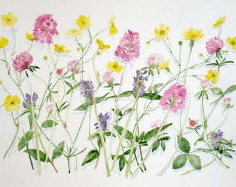 Wild flowers on the common. Limited edition giclee print on archival paper.