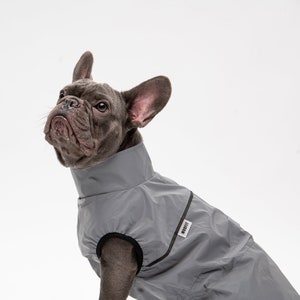 French bulldog coat - french bulldog clothes - dog rain jacket - medium dog jacket