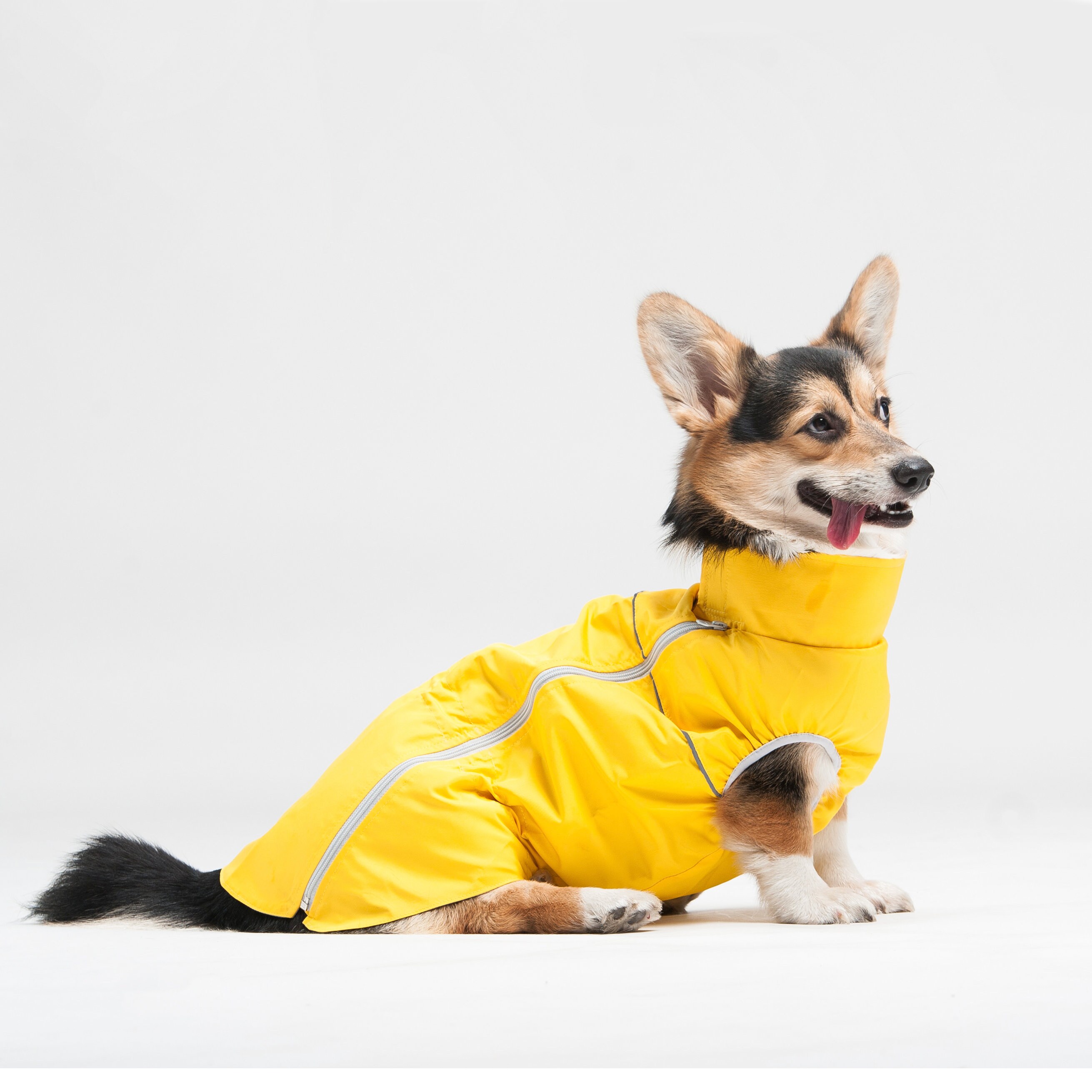 Rain jacket for dog raincoat Raincoat for dog Etsy