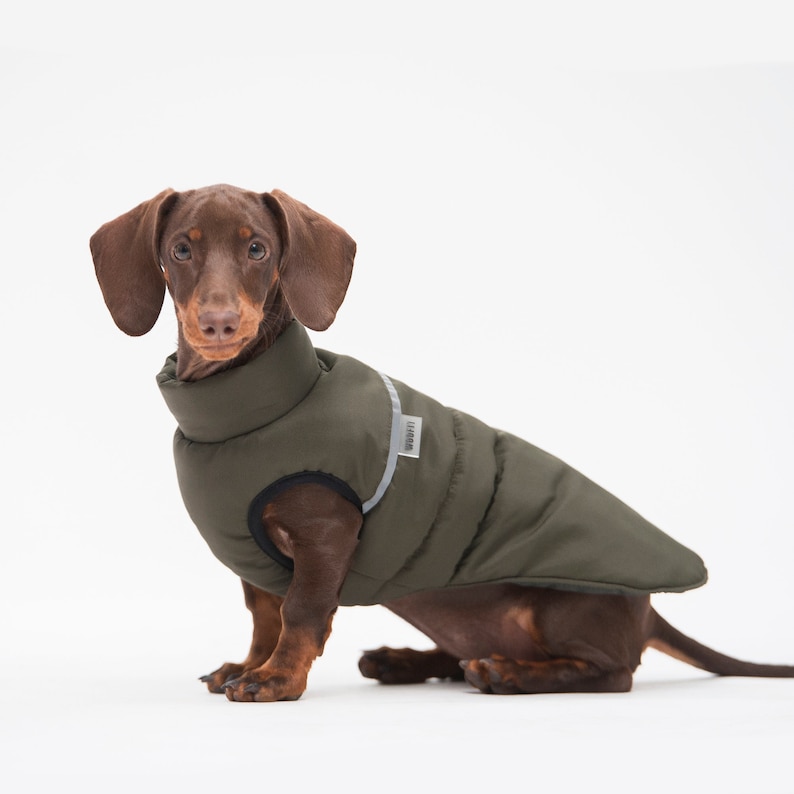 Dog clothes Dachshund clothes Warm jacket for dog Warm jacket Dog wear Winter jacket for dog Large dog clothes Gift for dog image 1