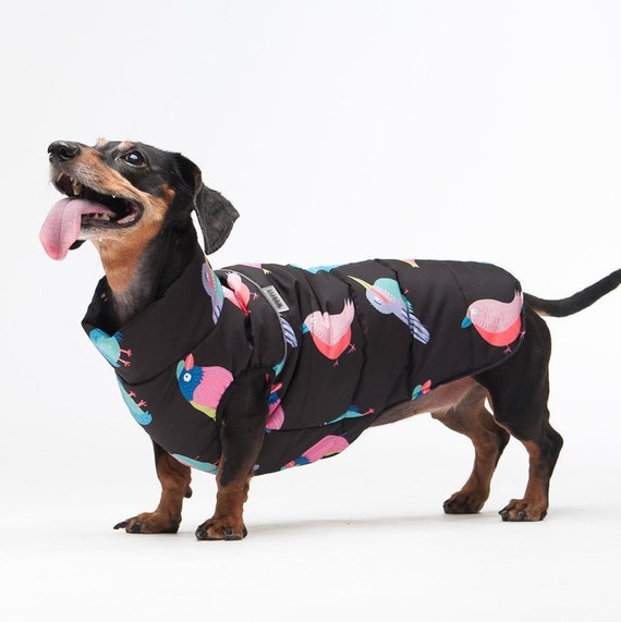 clothes for kurzhaar clothes for dog Large dog clothes jacket for dog dog clothes for big dog dog wear dog clothes gift