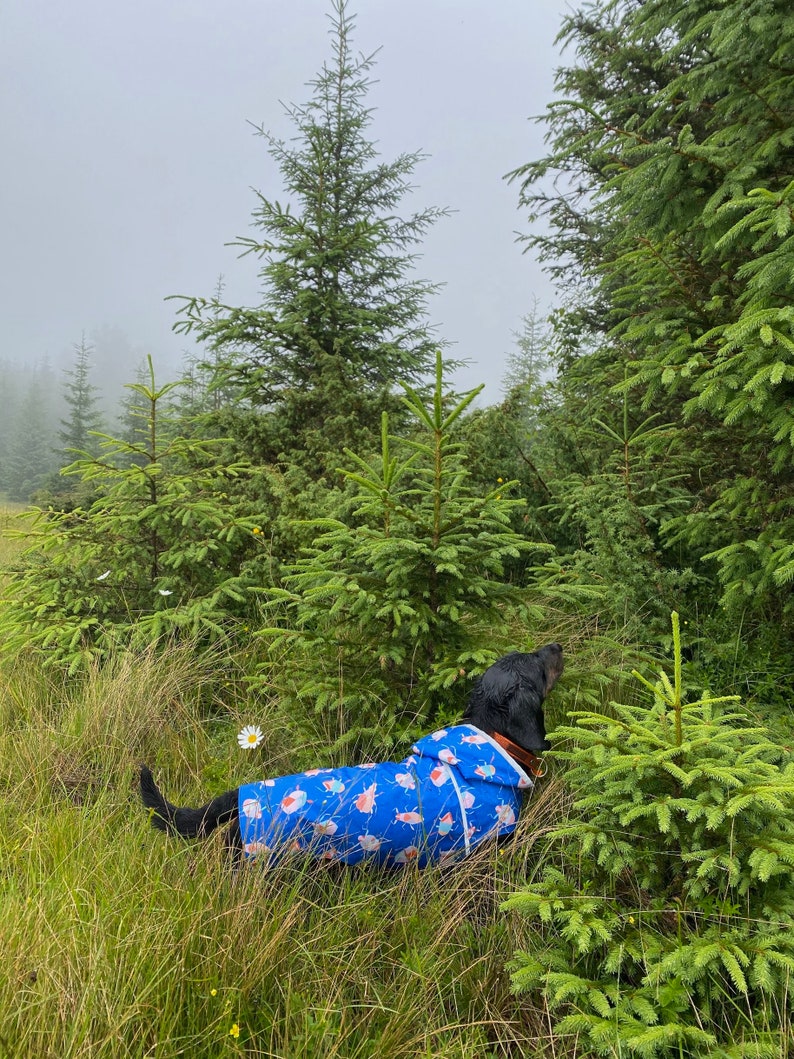 Etsy Design Awards Finalists Raincoat for Dog Pet Clothing Etsy