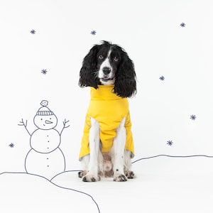 Warm jacket for dog, warm jacket for spaniel, warm jacket, jacket for dog, dog jacket, dog wear, gift,dog clothes, dog wear image 1