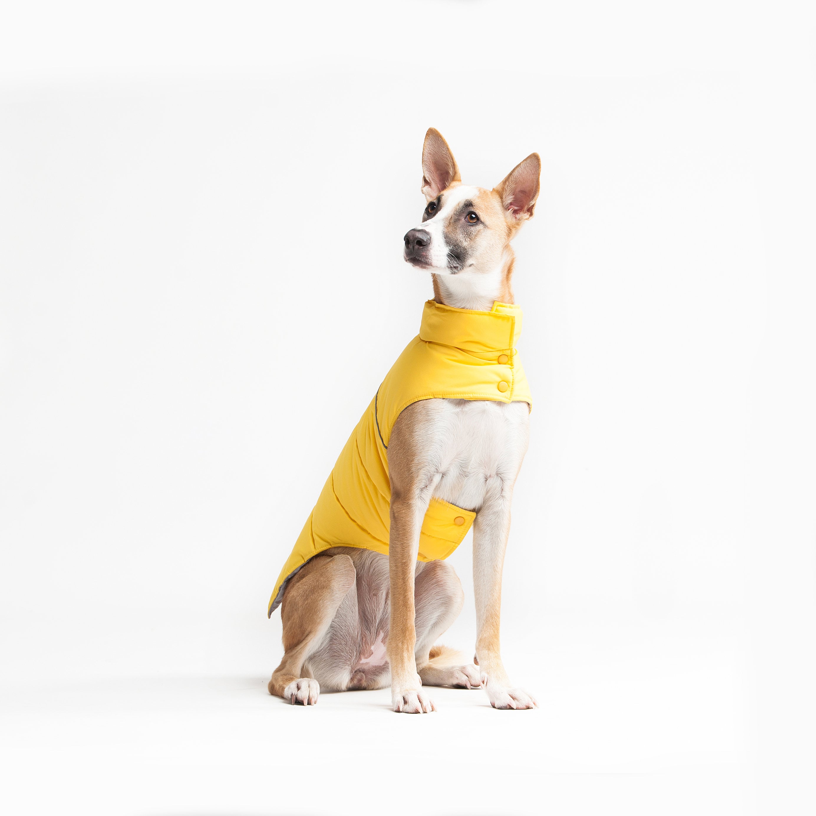 Warm Vest for Dog Warm Clothing for Dog Warm Dog Clothes Etsy UK