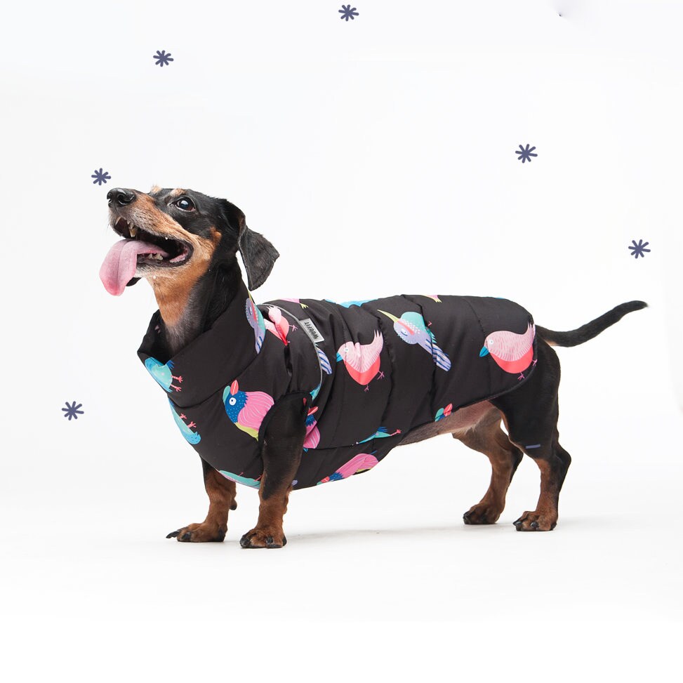 Veste Chaude Pour Chien, Veste Animaliste, Usure de Vêtements d'hiver Cadeau, Chien,
